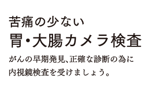 苦痛の少ない 胃・大腸カメラ検査がんの早期発見、正確な診断の為に 内視鏡検査を受けましょう。